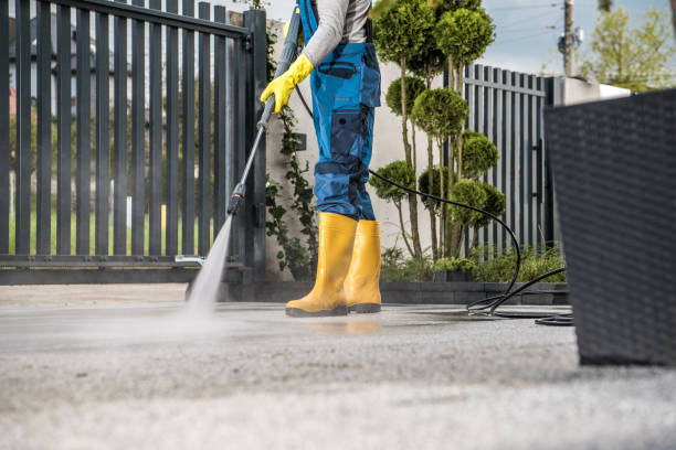 Best Driveway Pressure Washing  in Freeport, PA